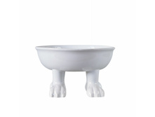 ����� Dog. ��������:�������� ��������. ������ �������:���