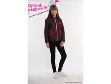 504 ������ �.� �������� (�����.) ���������� 550 �