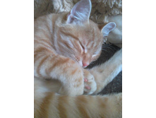 ���� 14-1.jpg