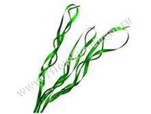 image208 - ����� - ����� - �����.png