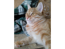 ������ 14-5.jpg