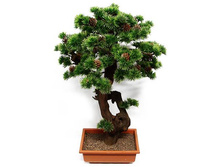 ��50/2� (�) -3050