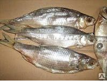 ������ - 240 �..jpg