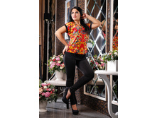 ������ ����� �2