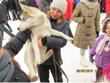 ���� 394.jpg