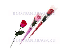 ������ � �������� ���������� 59�.jpg