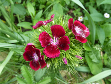 P1120169.JPG