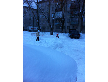 IMG_2175.JPG