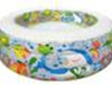 58480	������� �������� � �������� ���� 152�56��, �� 6 ���	1319,82