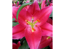 ����� ���� 5�� 180�