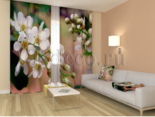 01147 �������� ��������.jpg