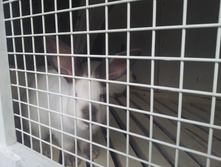 20130709_102804.jpg