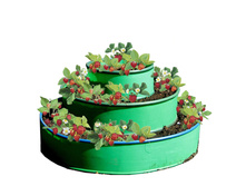 ������ 3-� �������-1730�