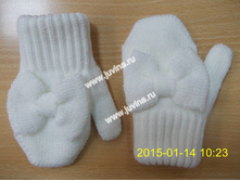 DSCN9745 (����������).jpg