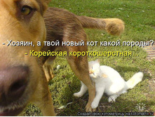 4920739_m.jpg