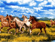 �� ������� ����� (90�50), (140�70).jpg