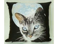 ������ ���.jpg