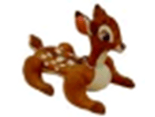 56555	 �������� � ������� 113�73��,  ����.12	443,57