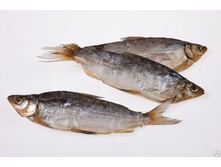 �����  - 435 �..jpg