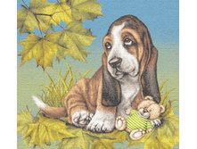 ������-����� (50�50).jpg