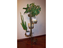 ������ ��� ������ ������-4.jpg