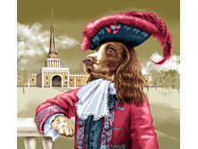 ��� ������.jpg