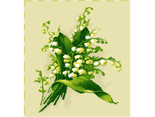 ������� (�������) (20�17).jpg