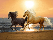 �������� ������� (108�70).jpg