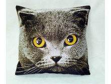 ���������� �����.JPG