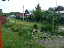 P1130943.JPG