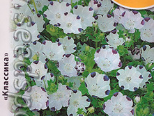 �������� ����� ������� 9 ���. �������� 1 ��. ����� ������ �����.jpeg