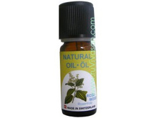 ������� ����� ������� ������ 10 �� ���� 670 ���