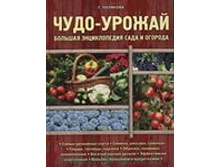 ��� � ������