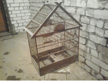 2015-02-07 17.02.05.jpg