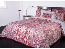 Antonio Salgado (����������) ���. Reflexo.jpg