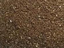 ������ ����.jpg