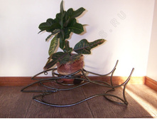 ��������� �������� ���������� ��� 1 ����.�������.jpg