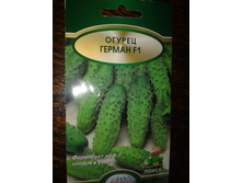 ������ 1.jpg