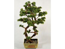 ��55/��/30 - 2365