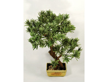 �� 50/2�/��/07 - 3060