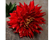 �������� ����������� 94�