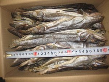 ���� �����ۣ����- 360 �..jpg