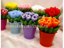 ����� ��������� (� ��ģ���)