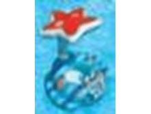 56582	���� ������ � �������, � ������� 119�81��, �� 1 ����	330,82