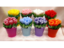 ����� ��������� (� ��ģ���)