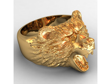 �� 00485, 17,6��..jpg