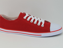 ZW 006-red (36-41) - 670+%.JPG