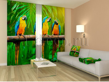 01181 ����������� �������.jpg