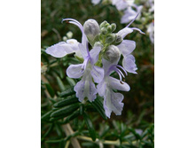 �������� ���������� ������ ������� �����.jpg