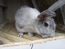 20130929_114405.jpg